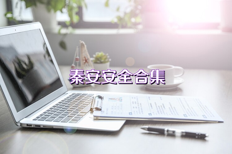 秦安安全合集