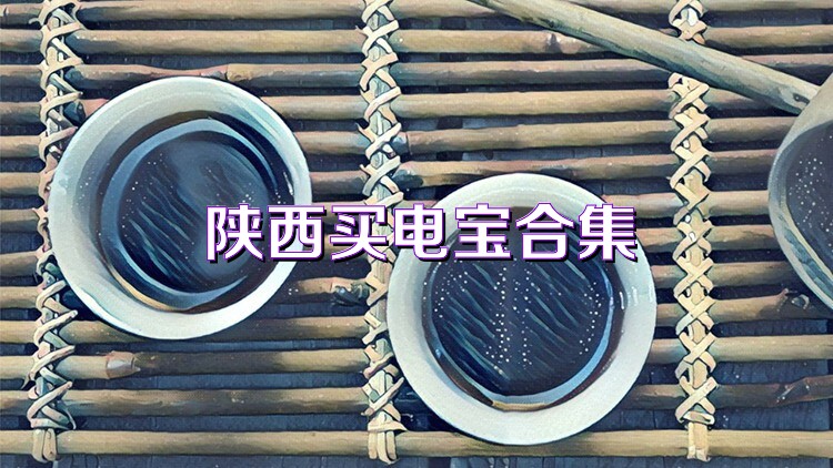 陕西买电宝合集