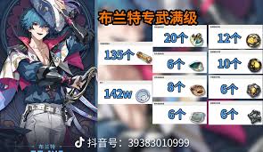 鸣潮游戏布兰特角色武器选择指南