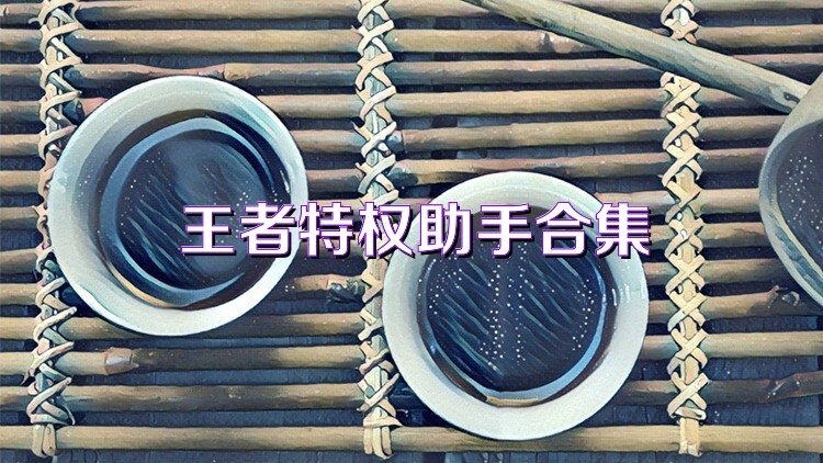 王者特权助手合集