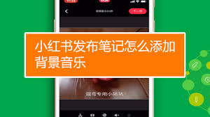 小红书发布自制录音歌曲教程