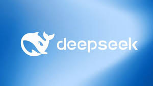 DeepSeek：深入探究其背后的国家信息与技术奥秘