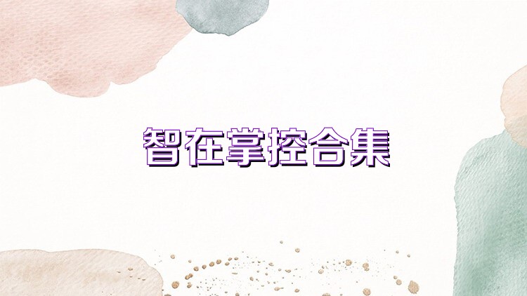 智在掌控合集