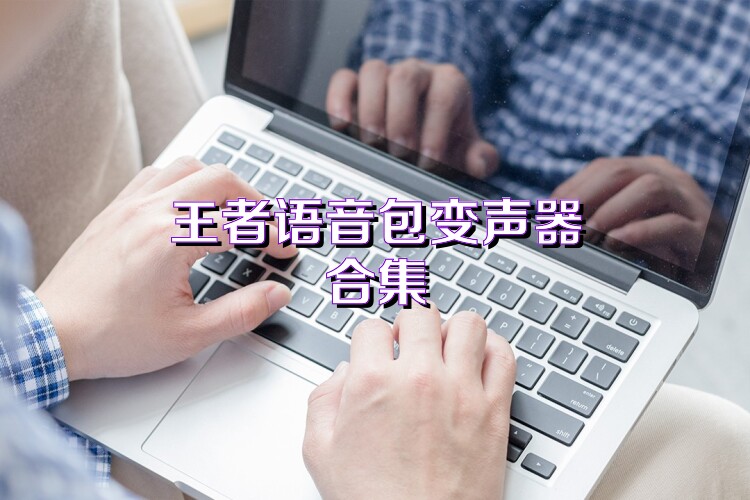 王者语音包变声器合集