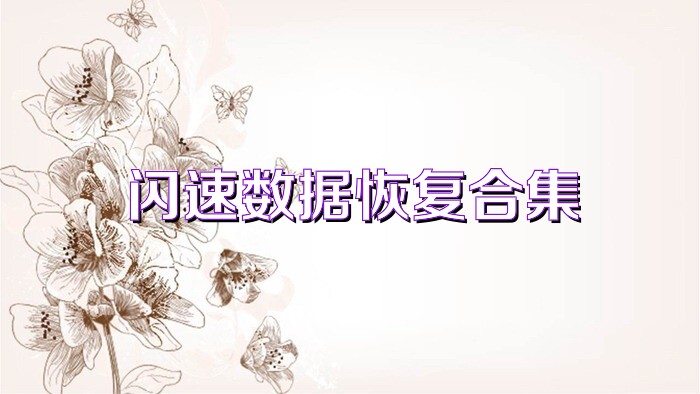 闪速数据恢复合集