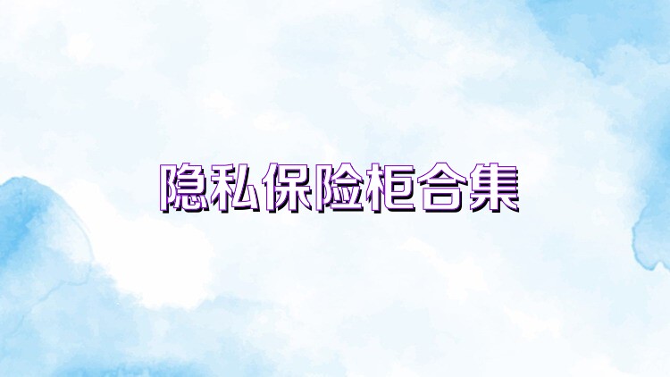 隐私保险柜合集