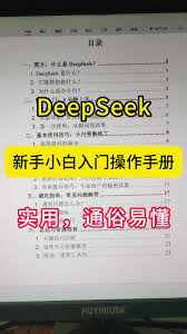 将DeepSeek用作计算机：操作指南与功能解析