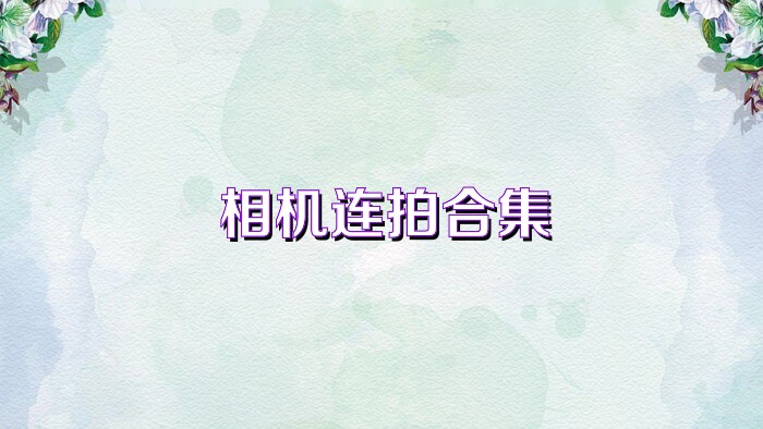 相机连拍合集
