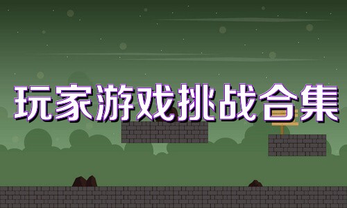 玩家游戏挑战合集