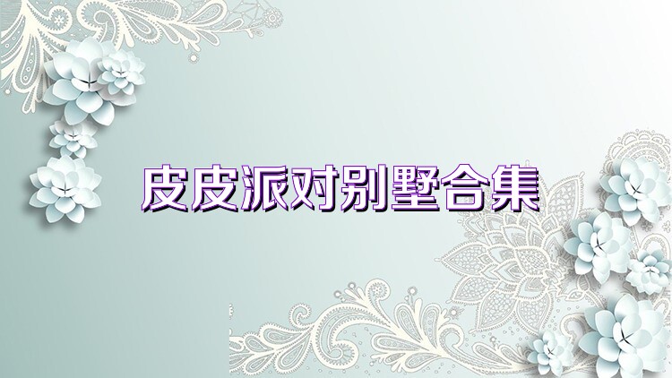 皮皮派对别墅合集