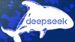 深入了解DeepSeek：探索其功能与应用