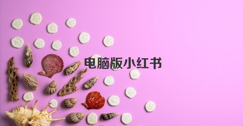 电脑版小红书
