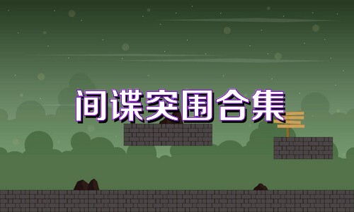 间谍突围合集