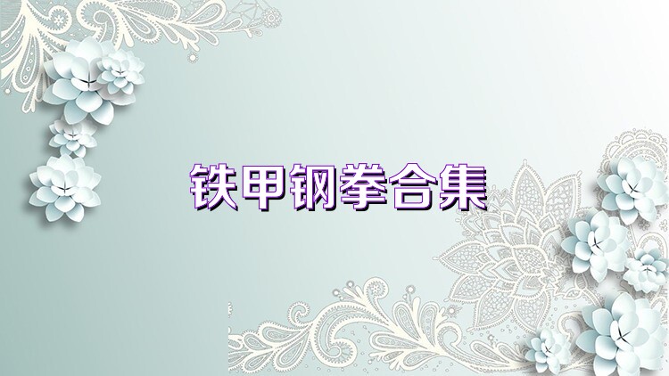 铁甲钢拳合集