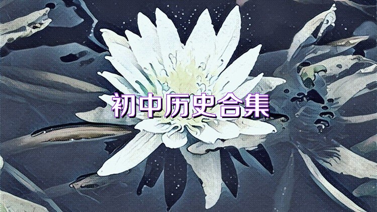 初中历史合集