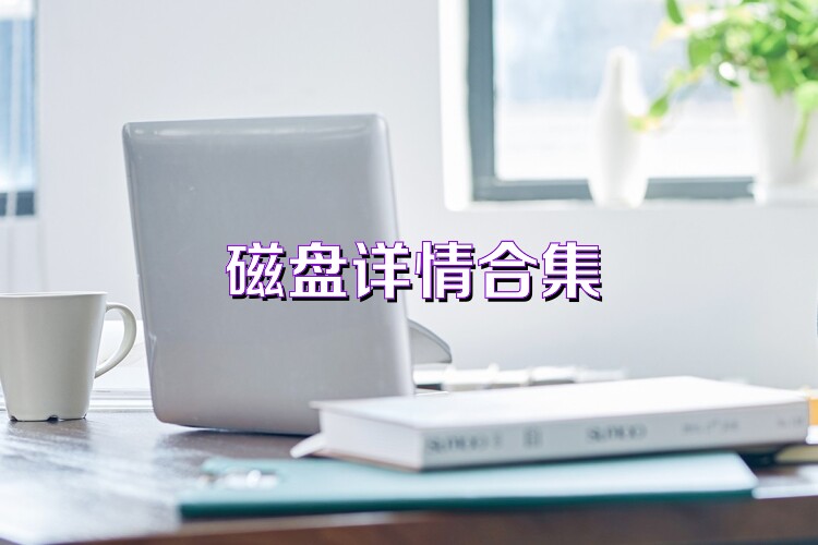 磁盘详情合集
