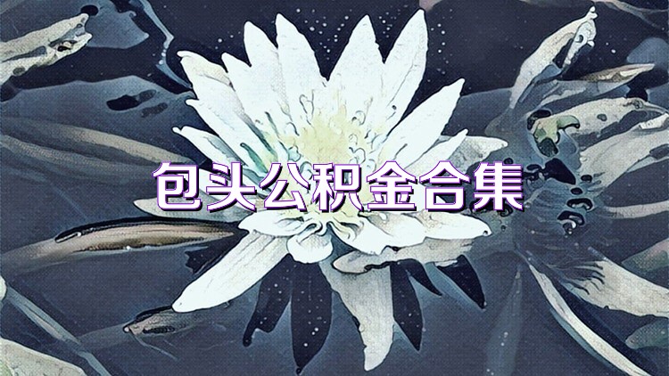 包头公积金合集
