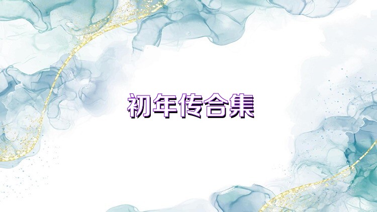 初年传合集