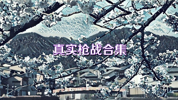 真实枪战合集