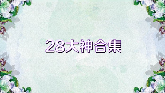 28大神合集