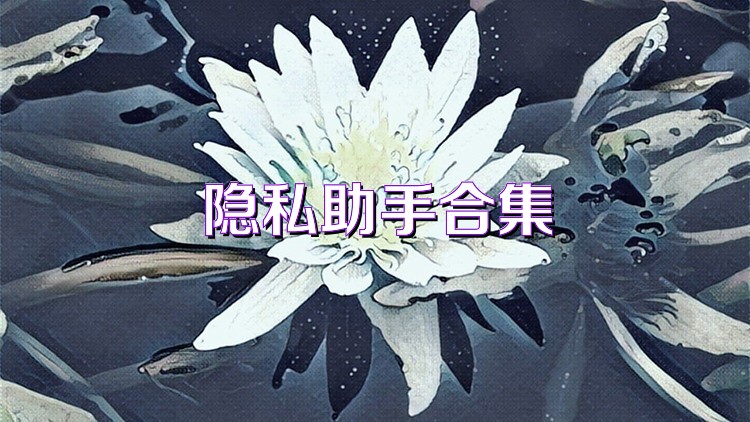 隐私助手合集