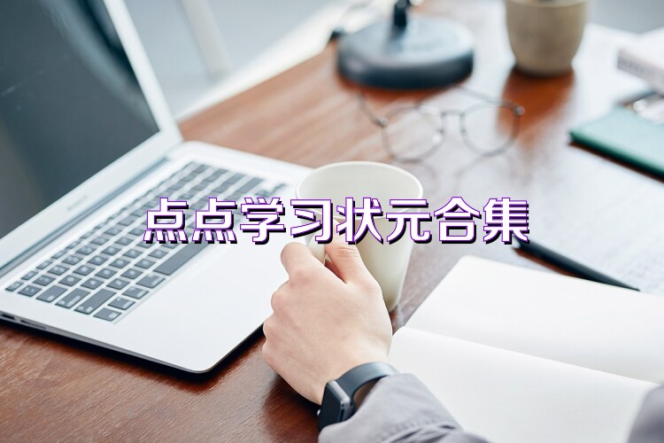 点点学习状元合集