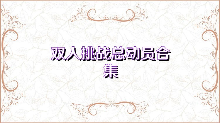 双人挑战总动员合集