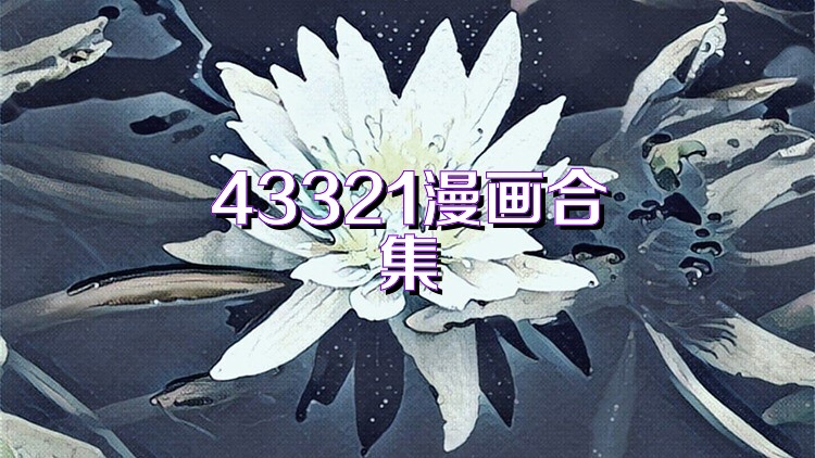 43321漫画合集