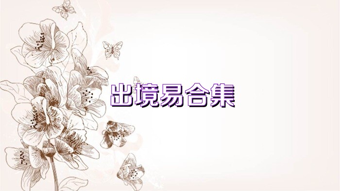 出境易合集