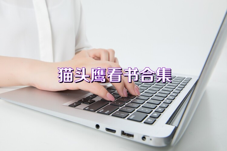 猫头鹰看书合集
