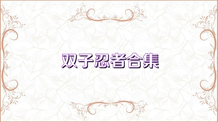双子忍者合集