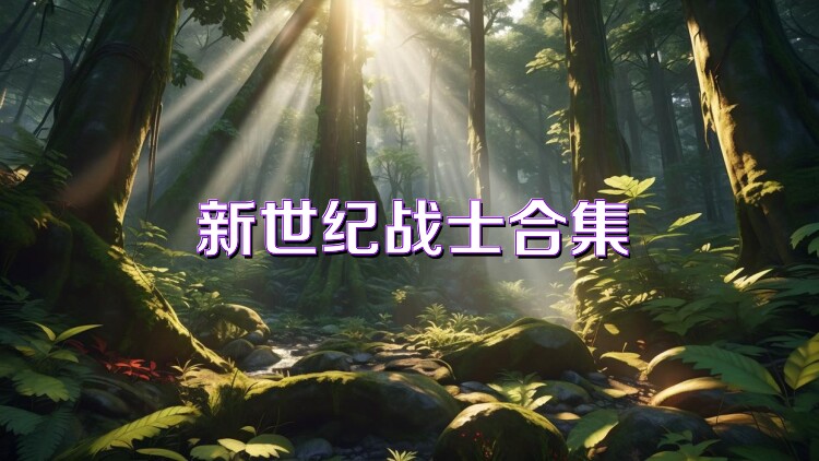 新世纪战士合集