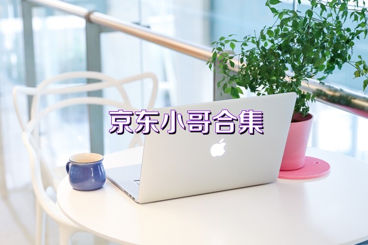 京东小哥合集