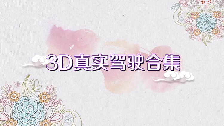 3D真实驾驶合集
