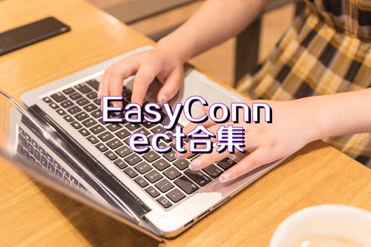 EasyConnect合集