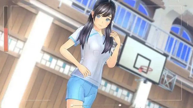 真人模拟游戏