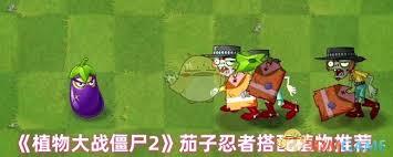 植物大战僵尸2茄子忍者搭配哪种植物厉害