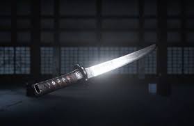 刺客信条影忍之怒武器外观怎么看