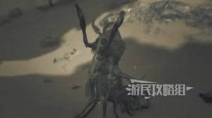怪物猎人荒野血盗虫地图位置在哪