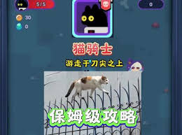 绝区零怪奇旅伴闪避流怎么通关