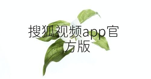 搜狐视频app官方版