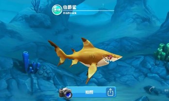 饥饿鲨系列游戏
