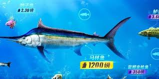 欢乐钓鱼大师如何钓鱼骨
