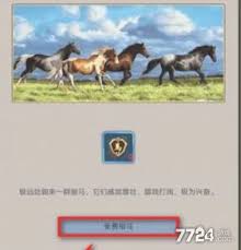 这就是江湖如何挑选马