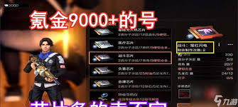 明日之后寒霜守护芯片有什么效果