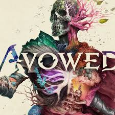 宣誓流程是什么