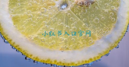 小红书入口官网