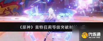 原神茜特菈莉等级突破需要什么材料