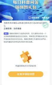 支付宝神奇海洋海豚靠什么呼吸