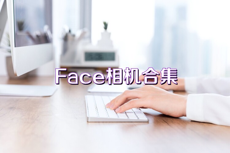 Face相机合集